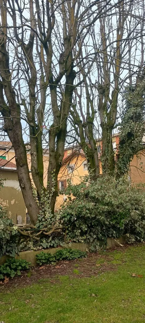 Ufficio in Vendita a Campagnola Emilia