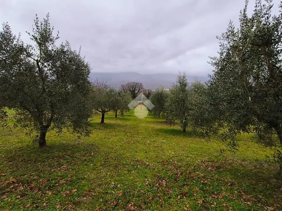 Ter. agricolo in vendita a Gualdo Tadino