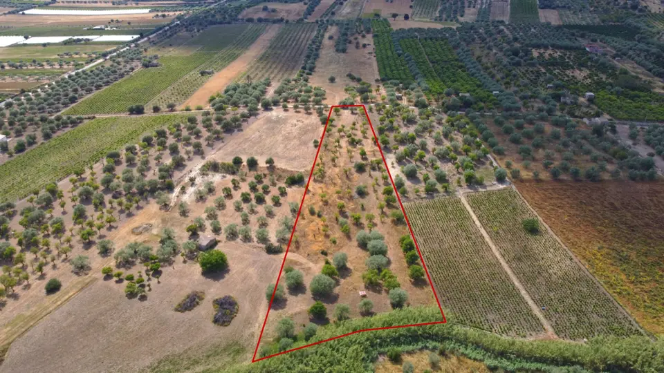 Terreno in Bommiscuro ., Noto (SR)