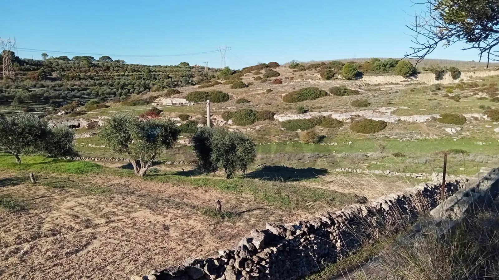Terreno in Vendita a Mottola