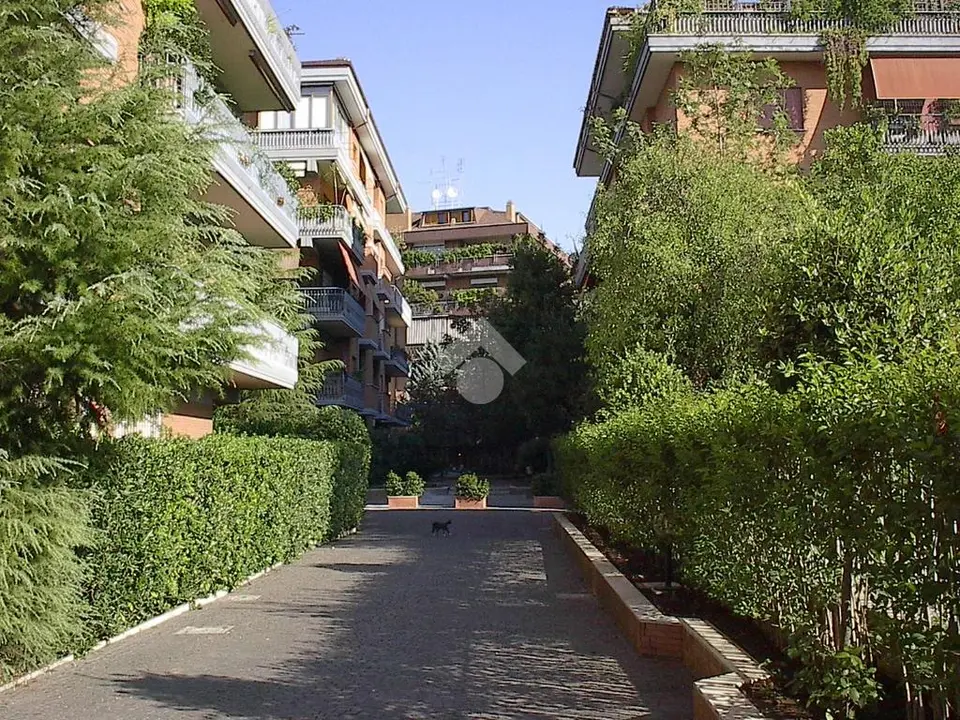 Bilocale in affitto a Roma