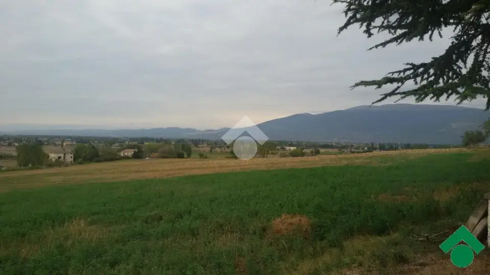 Ter. residenziale in vendita a Bevagna