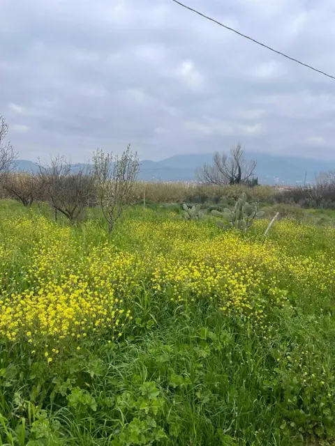 Terreno in via Acqua dei Pioppi 0, Eboli (SA)
