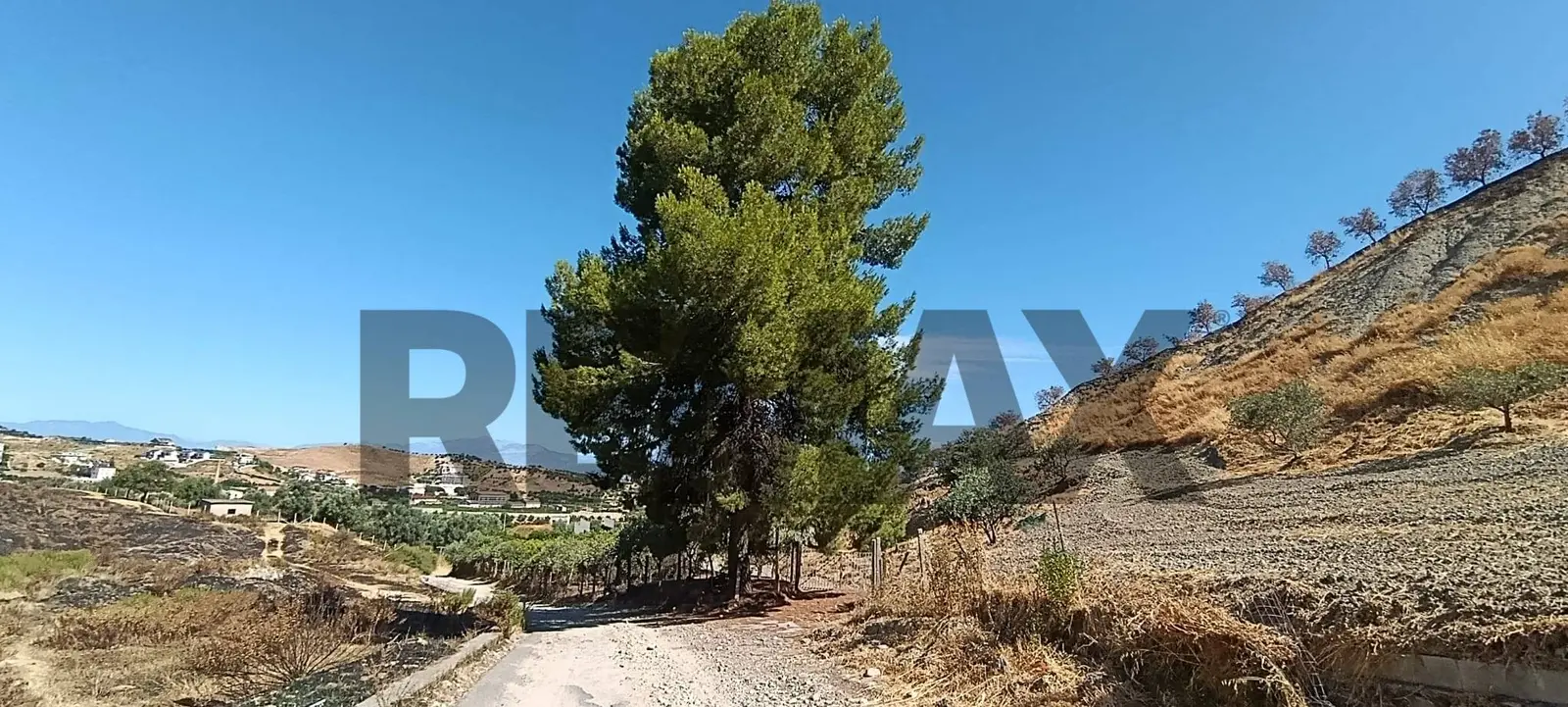 Terreno in Vendita a Corigliano-Rossano