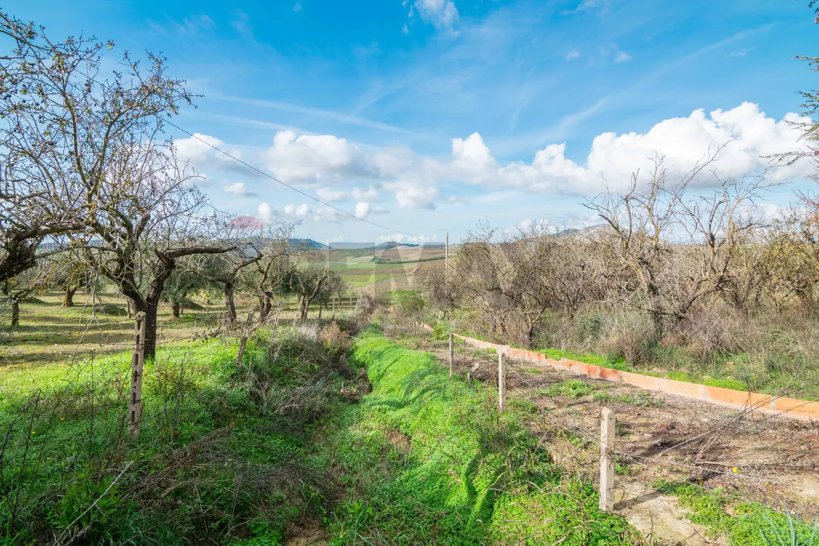 Terreno in Vendita a Piazza Armerina