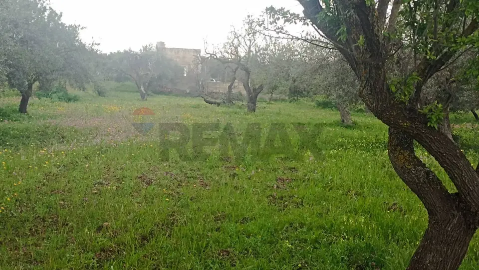 Terreno in Vendita a Chiaramonte Gulfi
