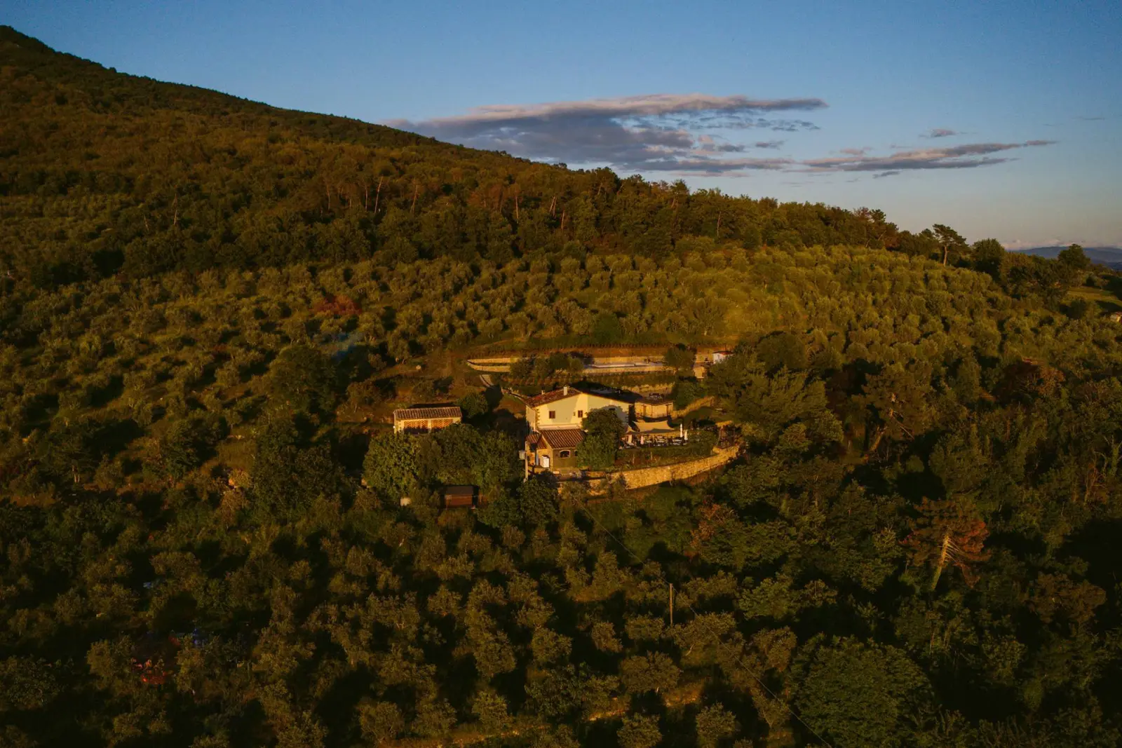 Agriturismo in Vendita a Loro Ciuffenna