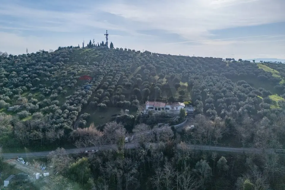Terreno in Vendita a Cappelle sul Tavo