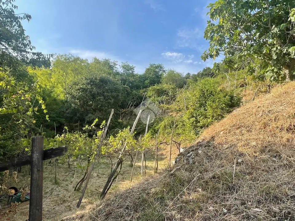 Ter. agricolo in vendita a Cellatica
