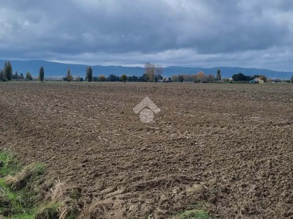 Ter. agricolo in vendita a Spello