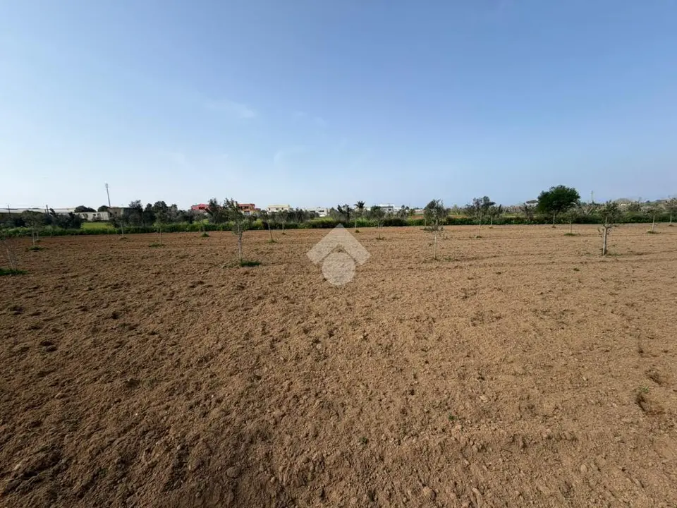 Ter. agricolo in vendita a Alezio
