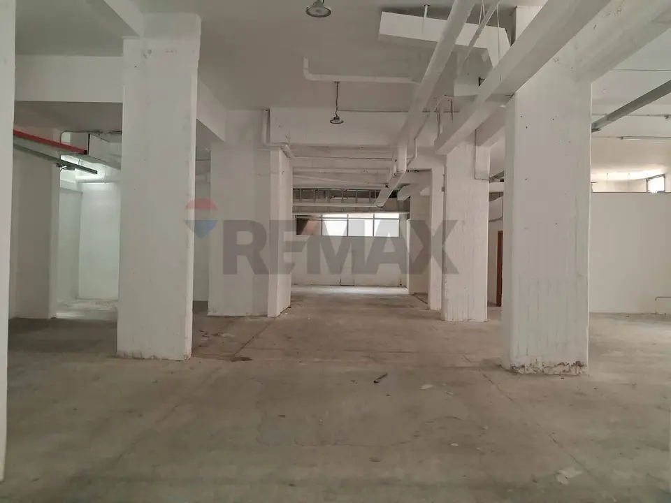 Locale Commerciale in Affitto a Palermo