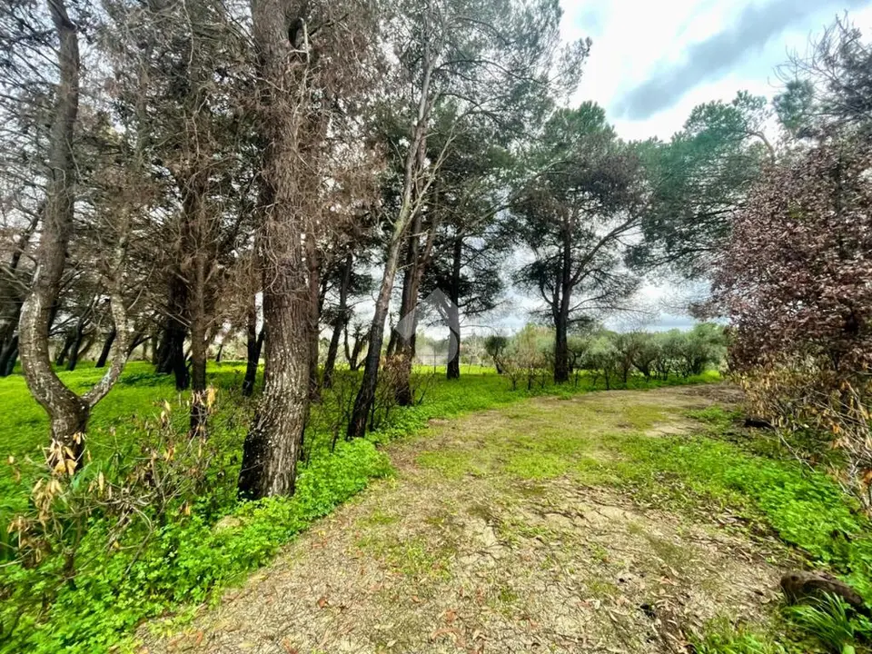 Ter. residenziale in vendita a Lecce