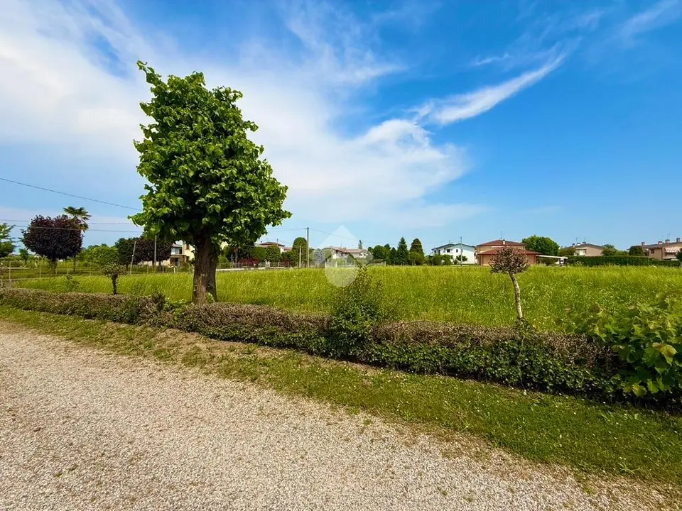 Ter. residenziale in vendita a Saccolongo