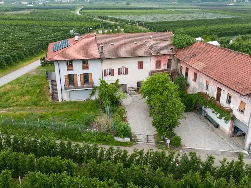 Casa semindipendente in vendita a Zambana