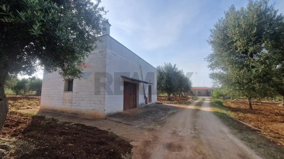 Altro in Vendita a Monopoli