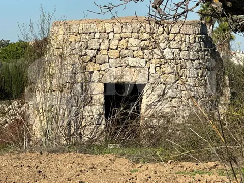 Terreno in sp 290 snc, Ugento (LE)