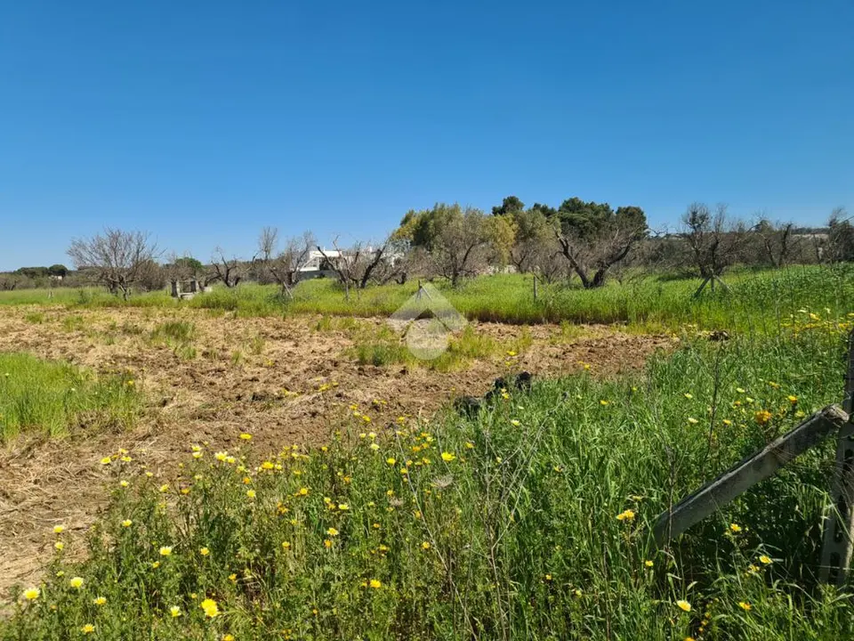 Ter. agricolo in vendita a Tuglie
