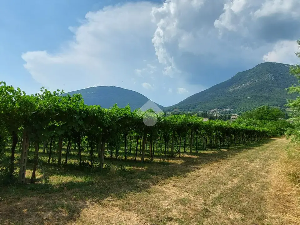 Ter. agricolo in vendita a Caprino Veronese