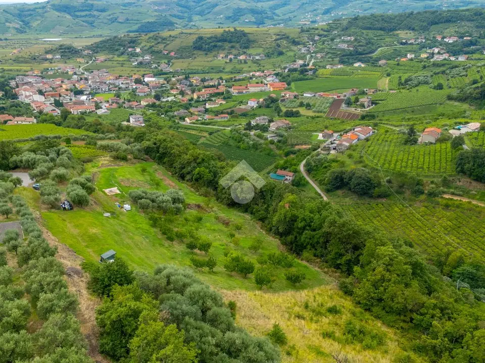 Ter. agricolo in vendita a Roncà