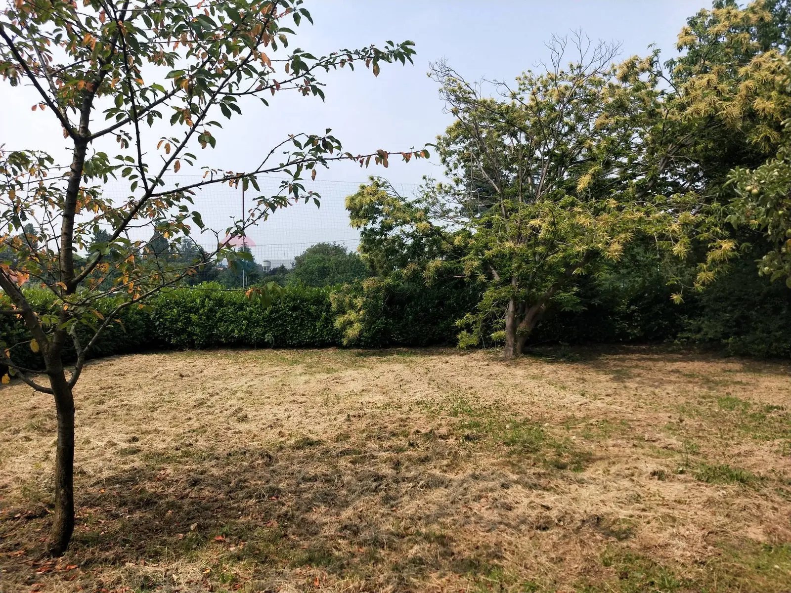 Terreno Edificabile in Vendita a Varallo Pombia