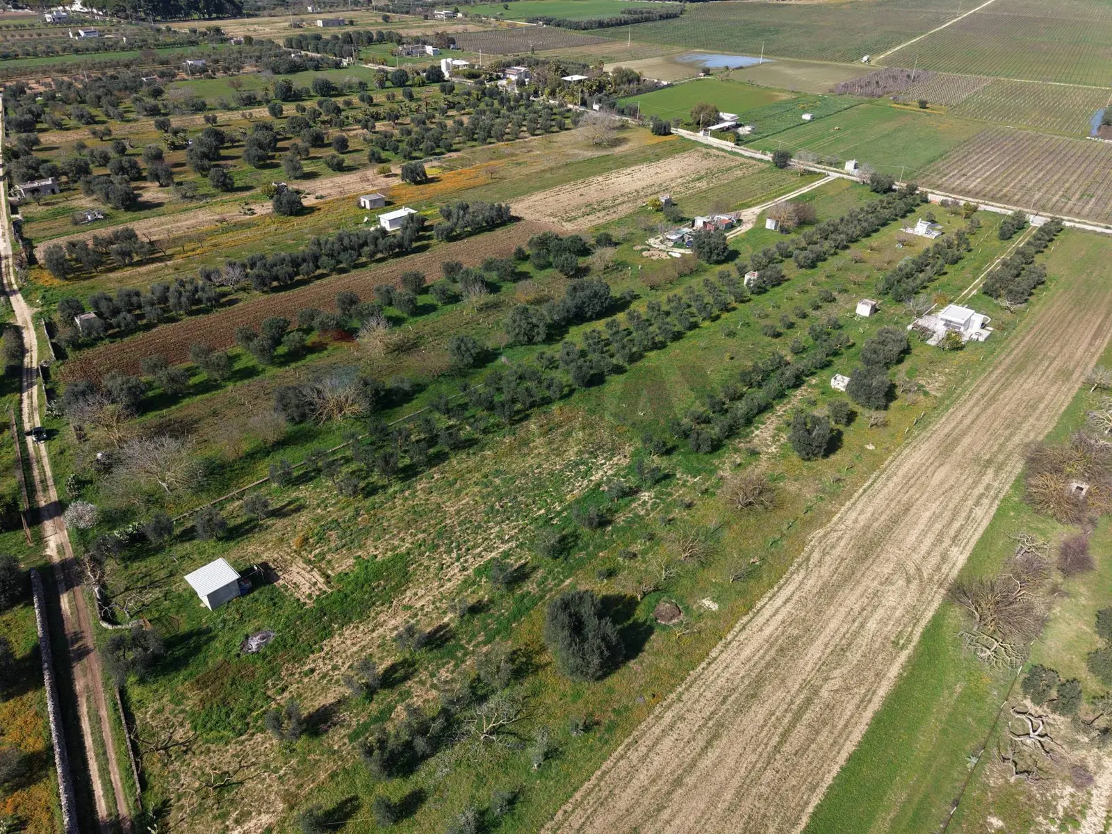 Terreno in Vendita a Crispiano