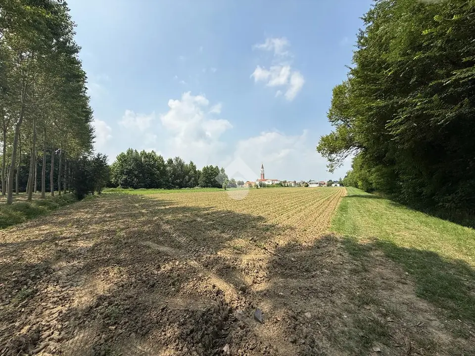 Ter. agricolo in vendita a Scorzè