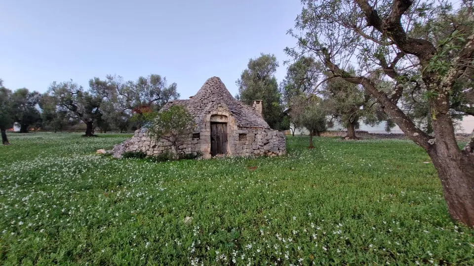 Baita/Chalet/Trullo in Vendita a Ceglie Messapica
